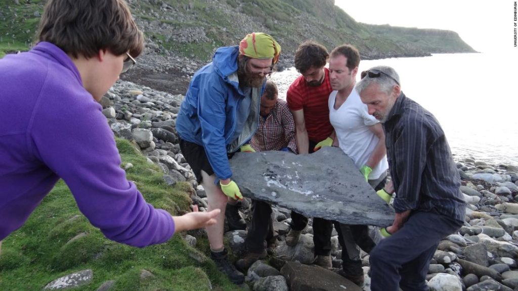 Fossile di un gigantesco rettile volante scoperto su un'isola scozzese