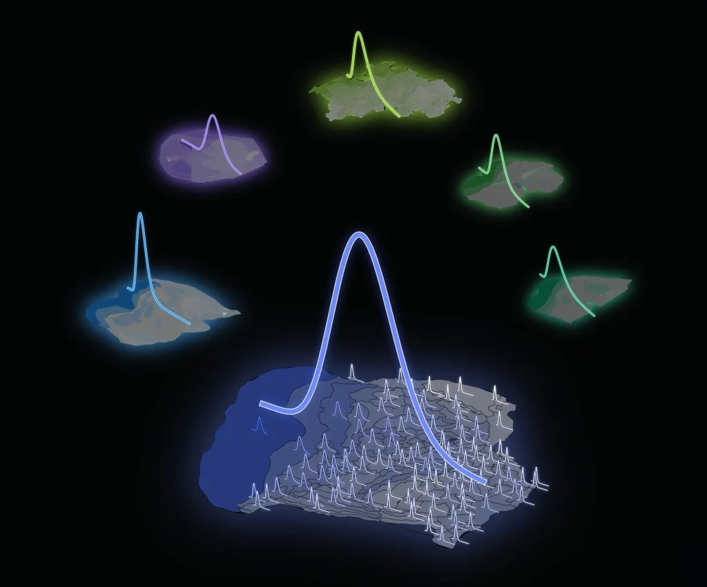 Scoperta la regola matematica dietro la distribuzione dei neuroni nel nostro cervello