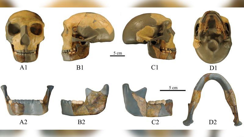 Un teschio di 300.000 anni trovato in Cina è diverso da qualsiasi teschio umano visto prima.