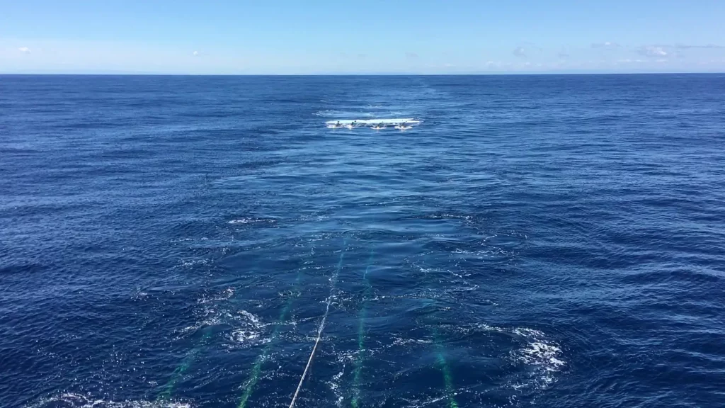 Seismic Survey at Hikurangi