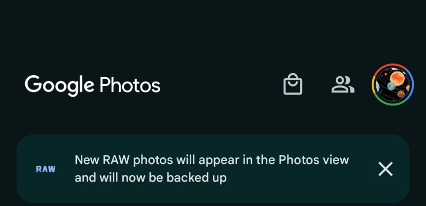 Effettua il backup dei file immagine RAW di Google