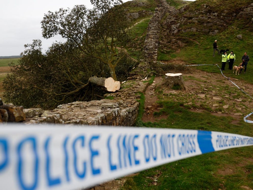 Sycamore Gap Tree Ultime: la polizia ha eretto una recinzione per proteggere il luogo in cui è stato arrestato un uomo sulla sessantina