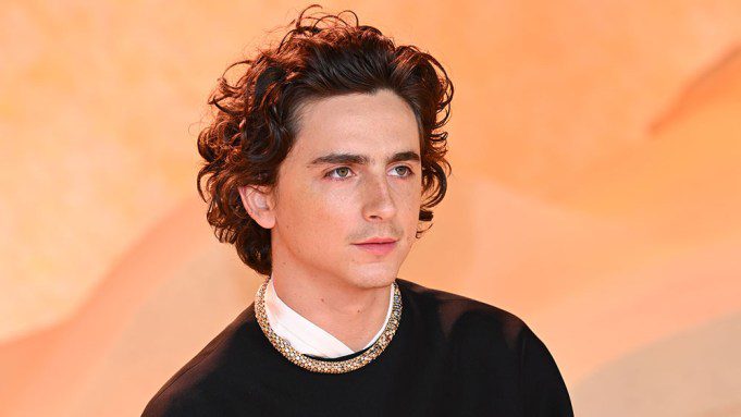 LONDRA, INGHILTERRA - 15 FEBBRAIO: Timothée Chalamet partecipa alla première mondiale del film 