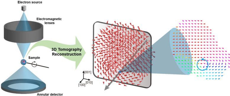 Distribuzione della polarizzazione tridimensionale delle nanoparticelle di BaTiO3 rilevate mediante tomografia elettronica atomica