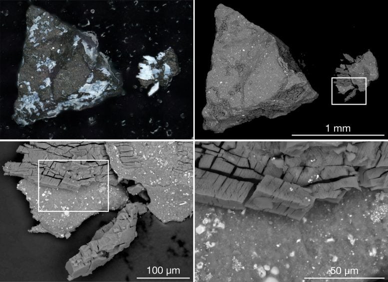 Immagini campione microscopiche dell'asteroide Bennu