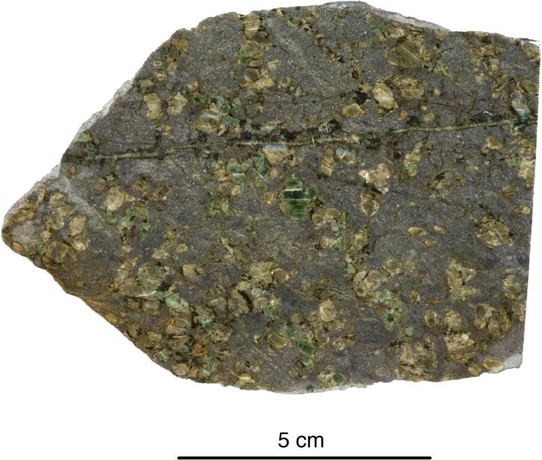 Una roccia antica estratta dal fondale marino