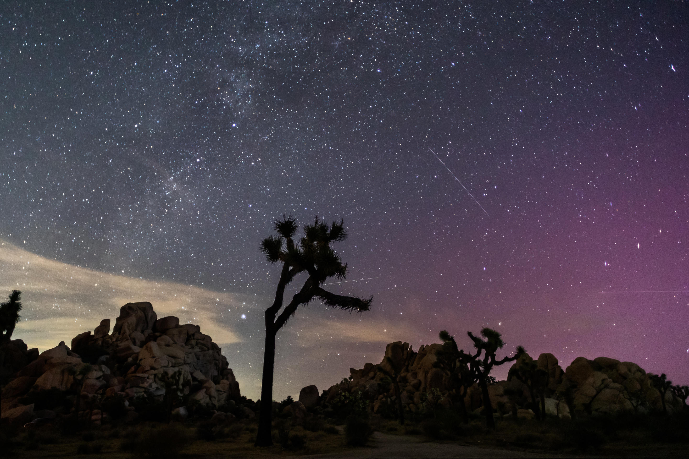 L'aurora boreale illumina il cielo sopra il Joshua Tree National Park in California durante la pioggia di meteoriti delle Perseidi. 