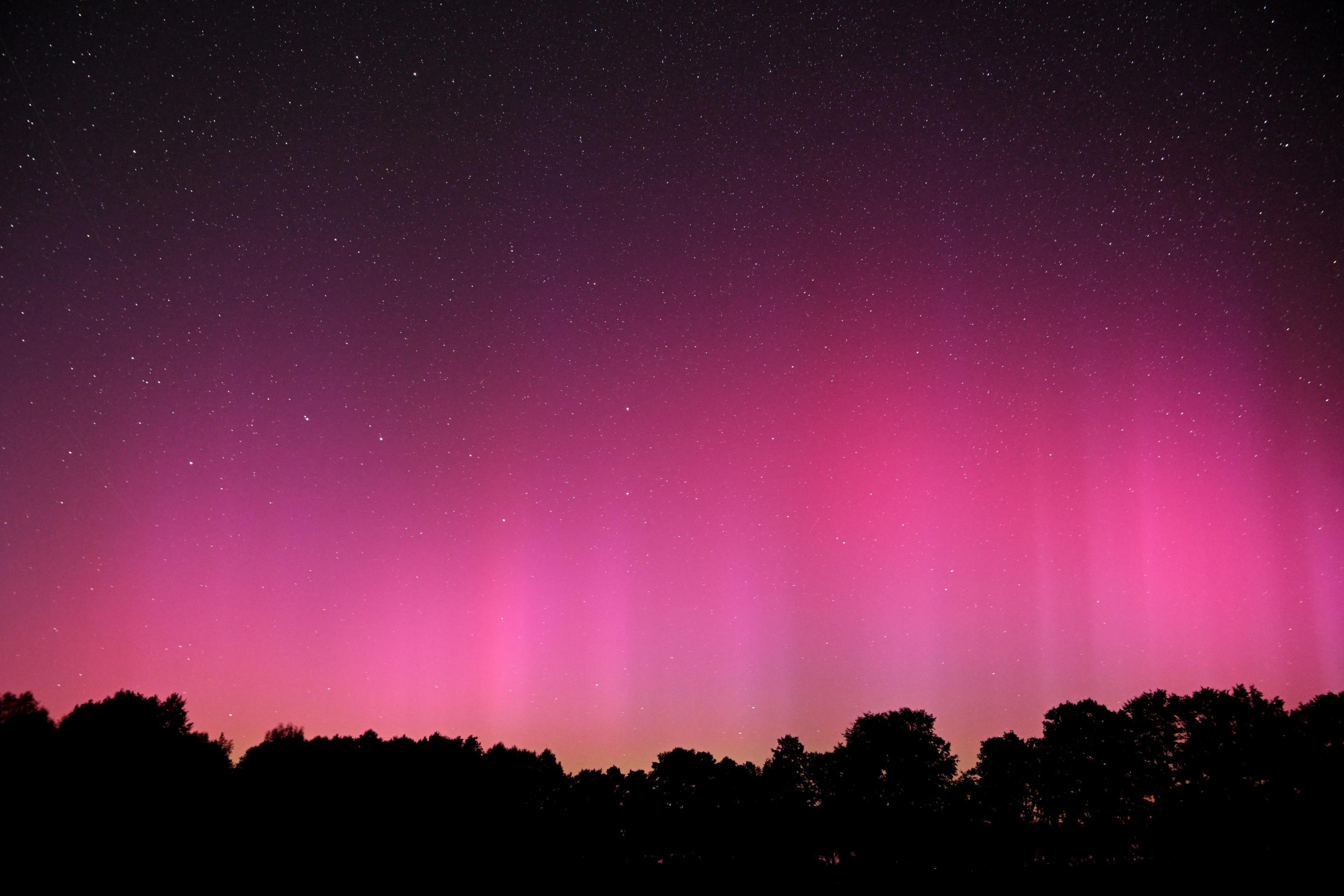 L'aurora boreale illumina il cielo sopra un campo nella regione di Suwalki in Polonia.