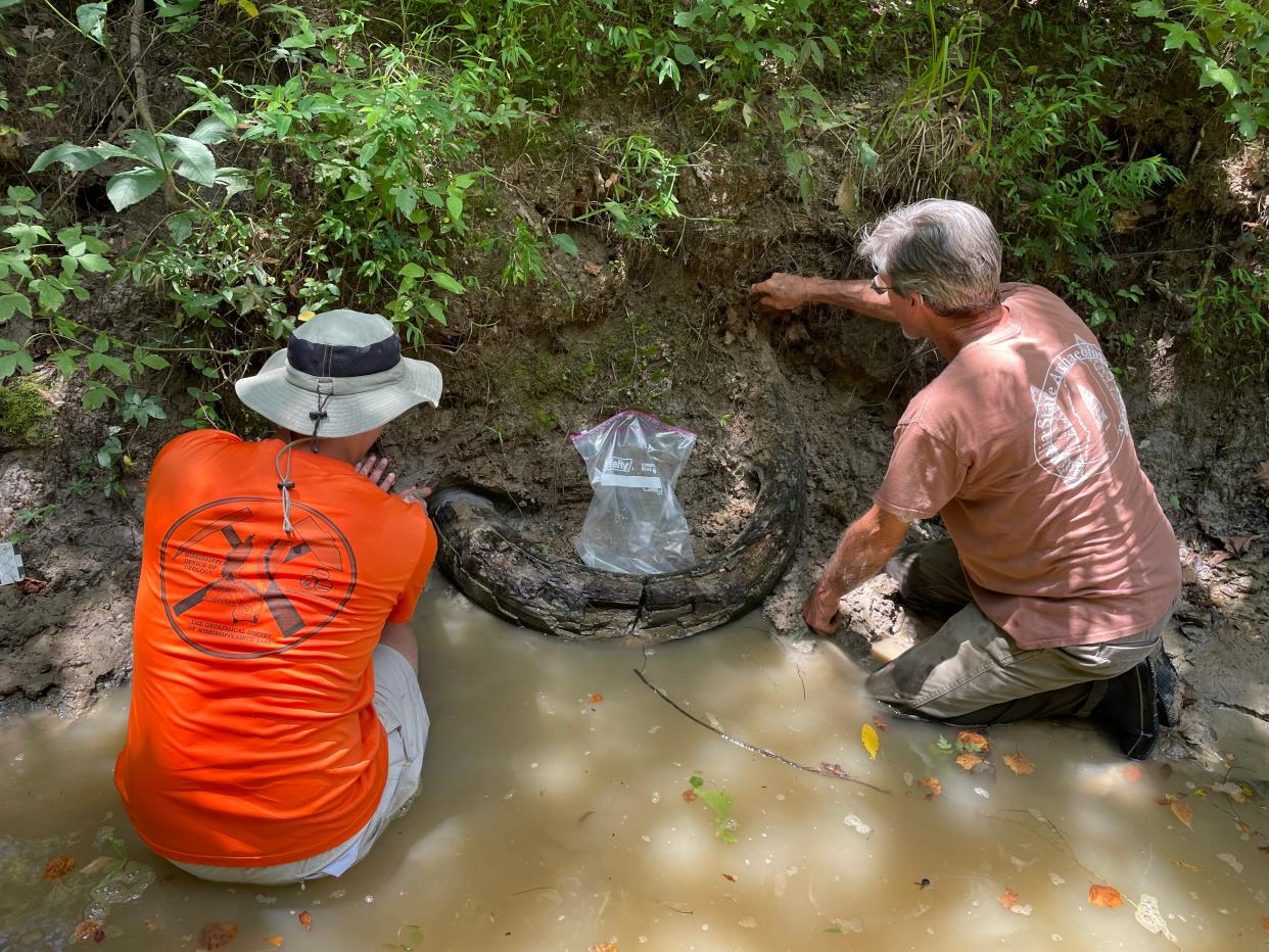 Jonathan Laird (a sinistra) del Bureau of Geology del Dipartimento di qualità ambientale del Mississippi e Eddie Templeton di Madison esaminano il sito di una zanna di mammut che Templeton ha recentemente trovato in un torrente della contea di Madison.