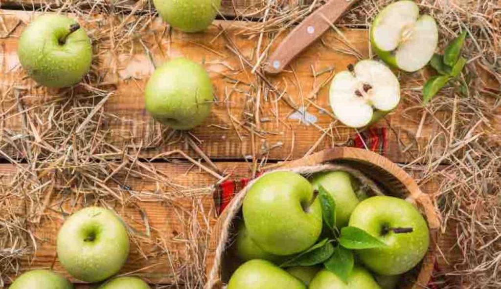 Ho preso le mele dal mio giardino e ne ho fatto una marmellata da leccarsi i baffi: la ricetta per prepararla a casa