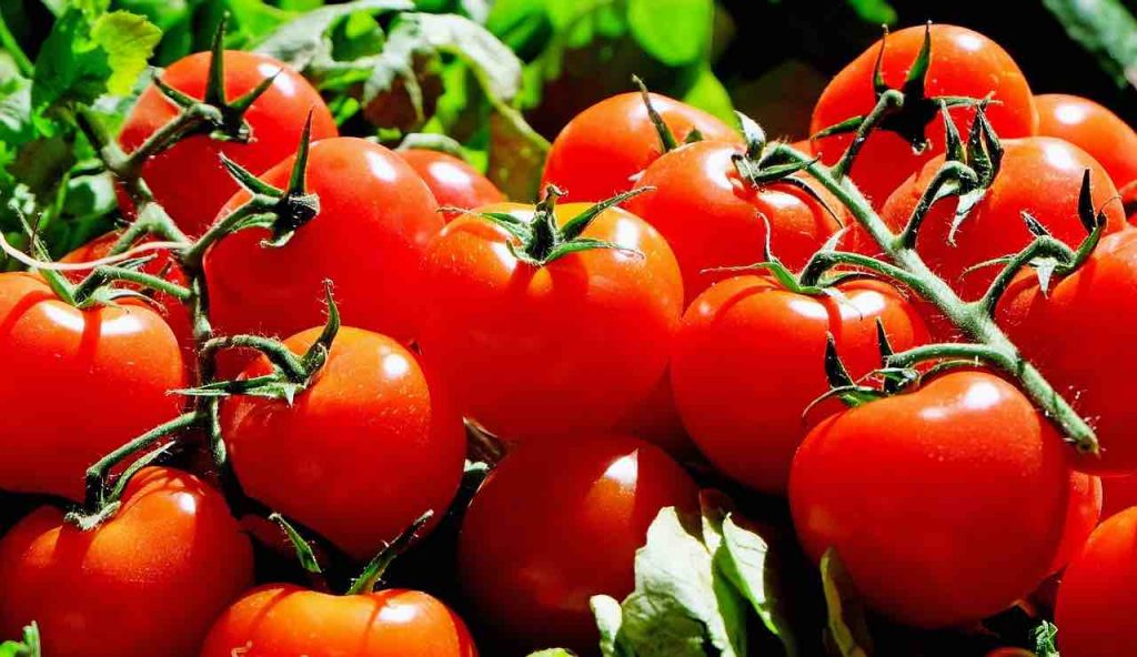 Pomodori, in pochi lo sanno ma hanno un effetto incredibile sul fegato: basta mangiarne una porzione al giorno